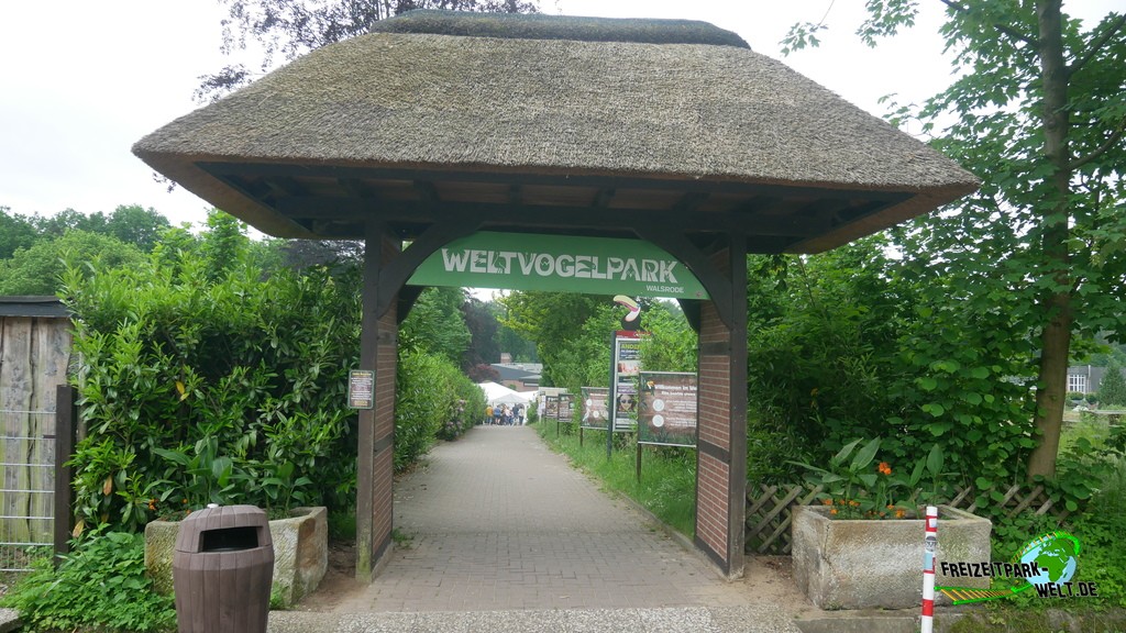 P1120739.JPG