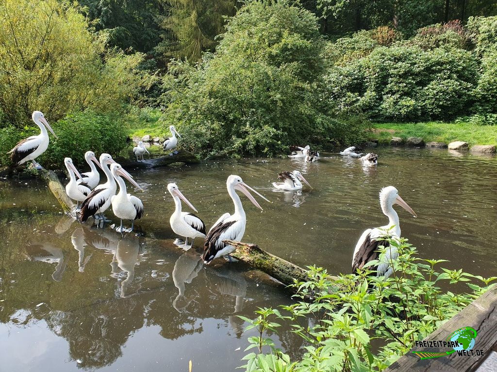 Vogelpark Momente.jpg