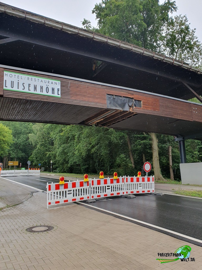 20230727_110741.jpg