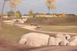 Aussicht auf Serenga - Foto 7