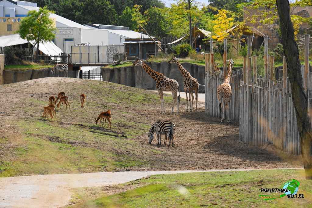 Serenga Safari im Wildlands Adventure Zoo Emmen - 2018