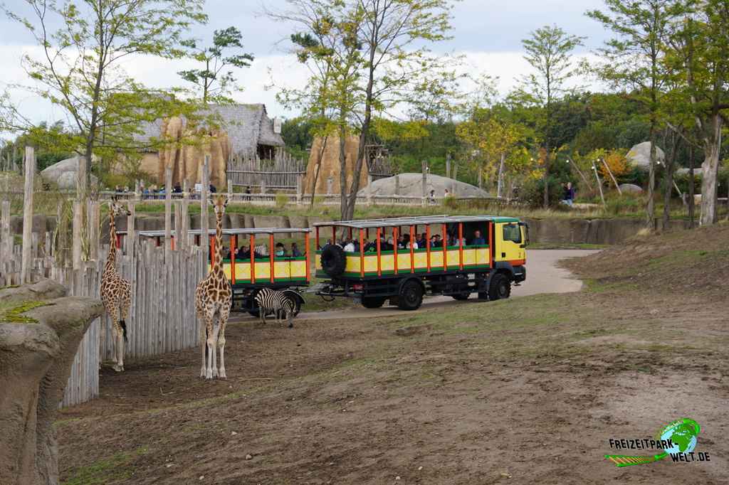 Serenga Safari - Wildlands Adventure Zoo Emmen