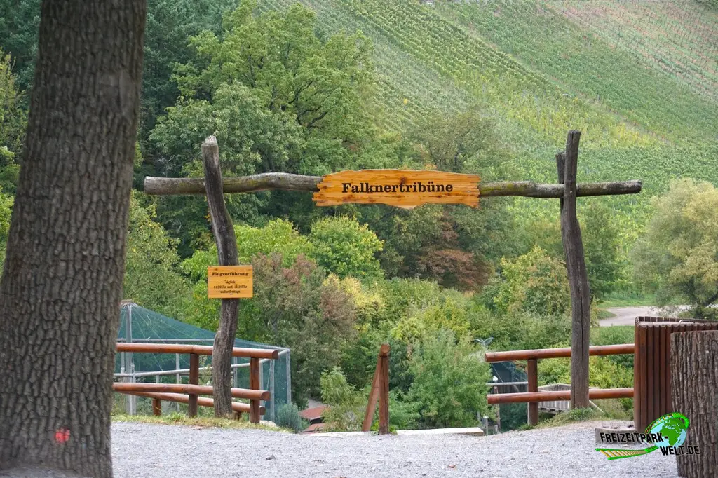Flugvorführung im Wildparadies Tripsdrill - 2023