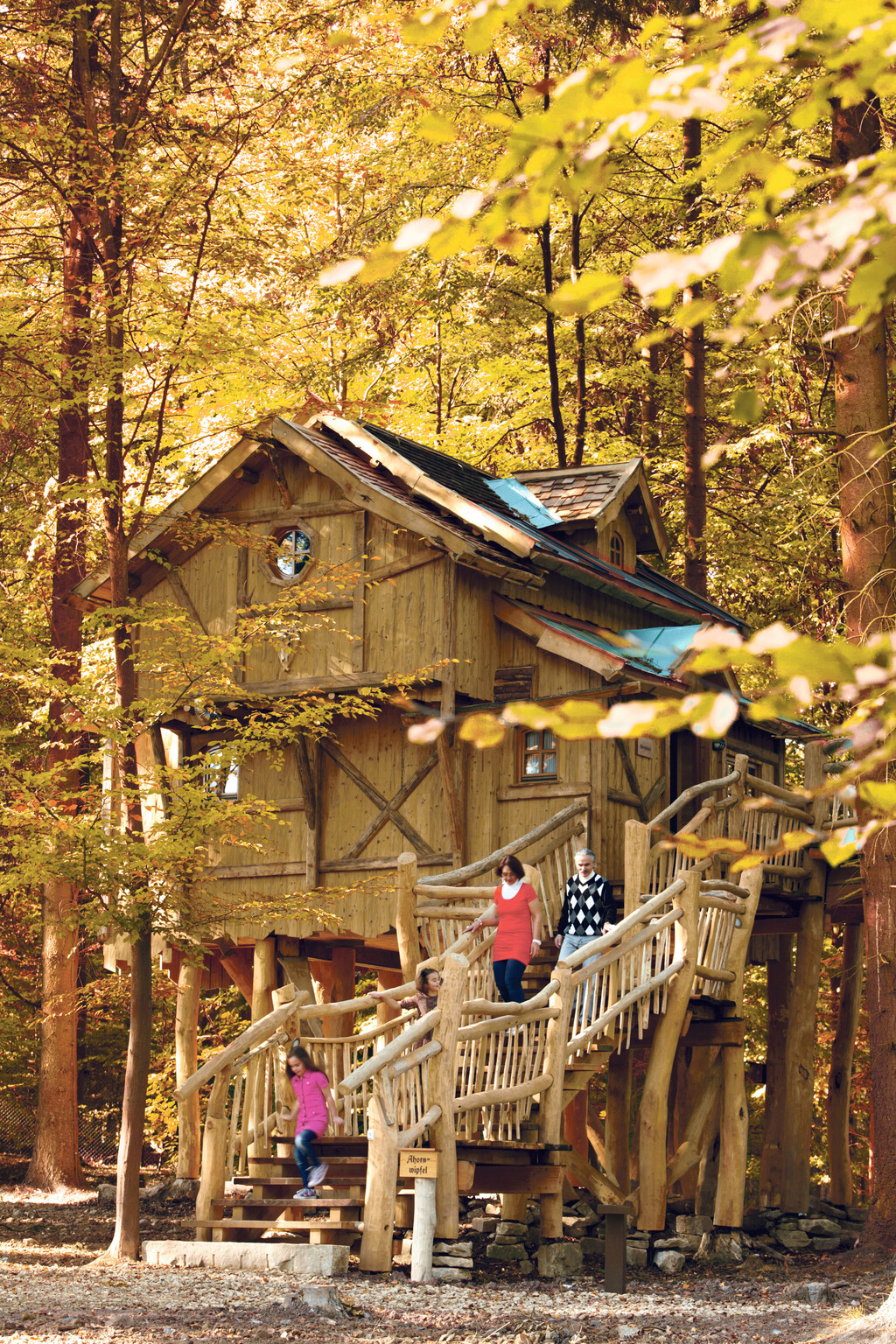 BH_Ahornwipfel_235Herbst_kl.jpg