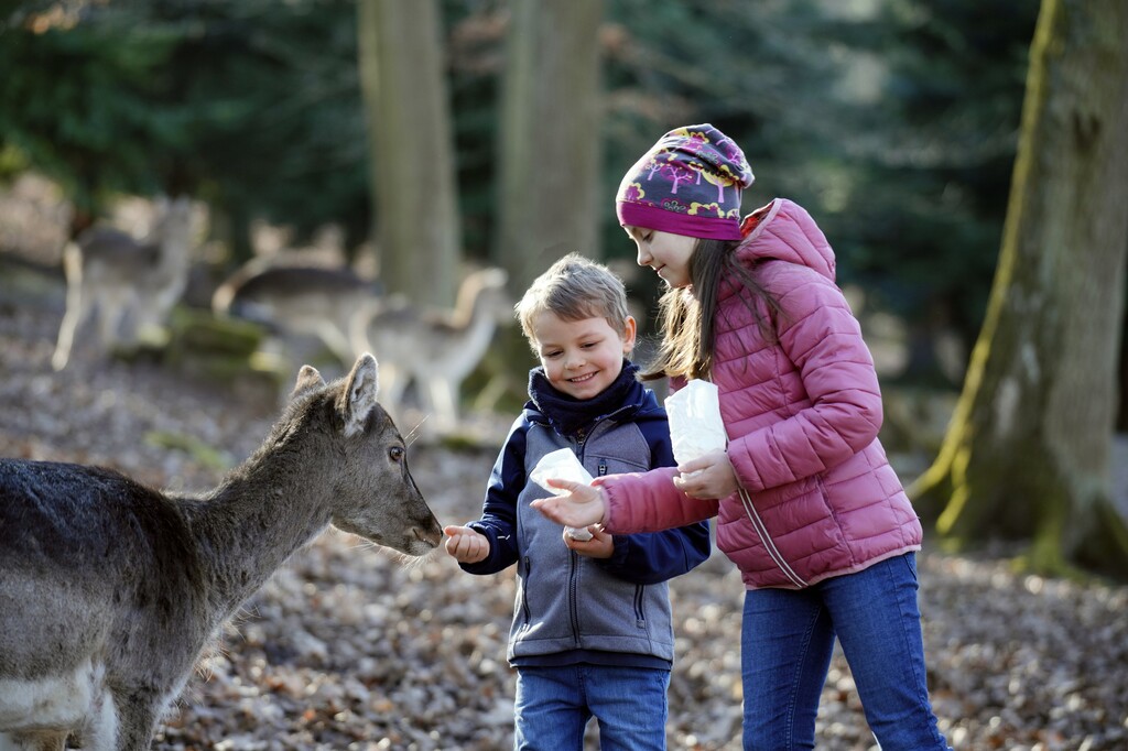 Wildparadies_Hirscheern_GB (1).jpg