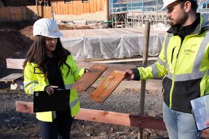 Handgemachte Biberschwänze aus Abbruchhäusern  - Foto 1