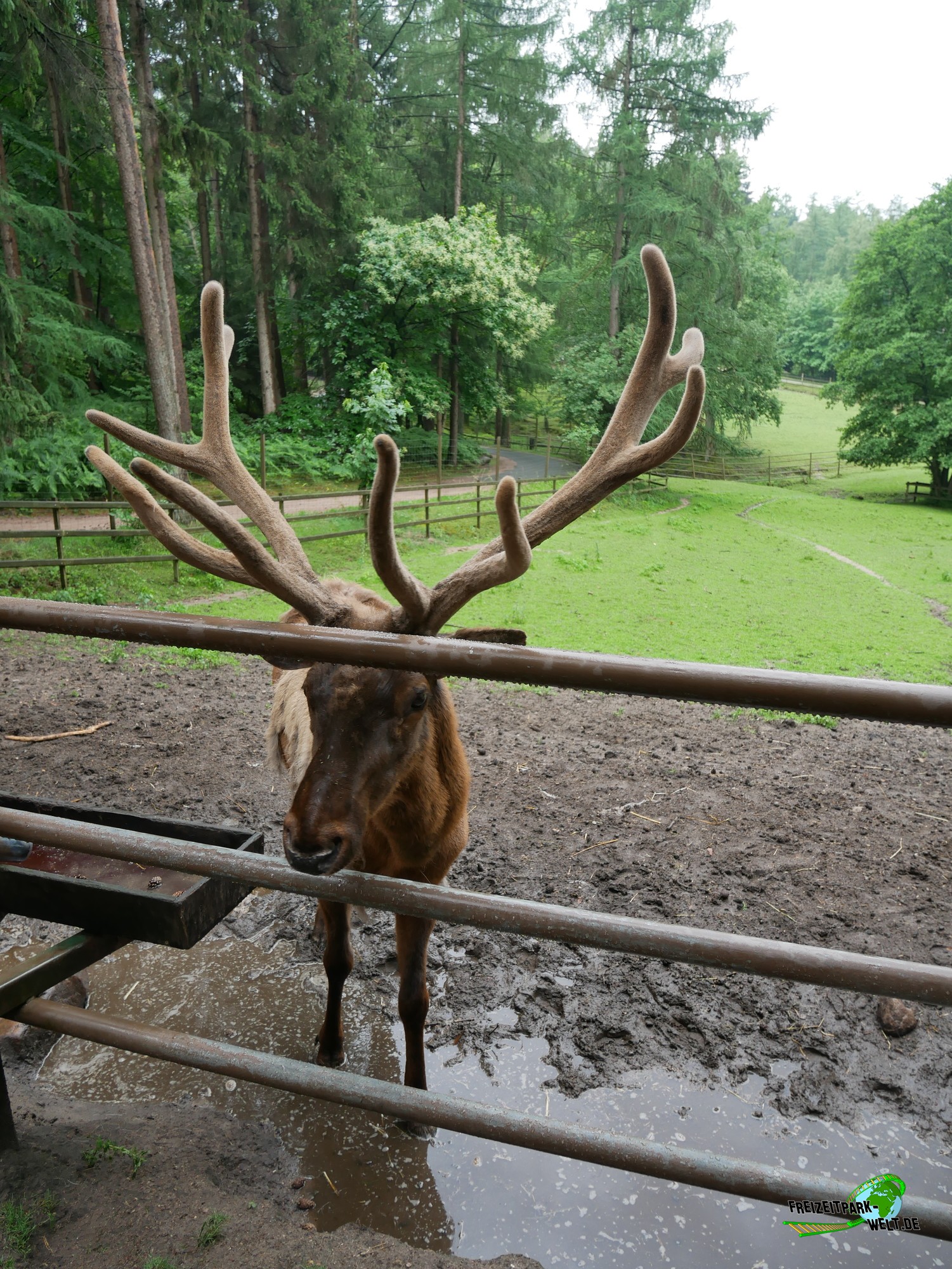 foto-galerien-wildpark-l-neburger-heide-freizeitpark-welt-de
