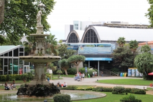 Teaserfoto Zoo Barcelona