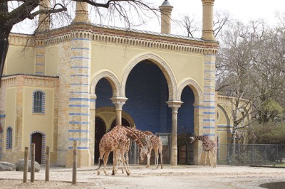 Teaserfoto Zoo Berlin