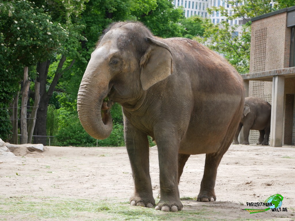 Berliner Zoo, Zoo Berlin FreizeitparkWelt.de