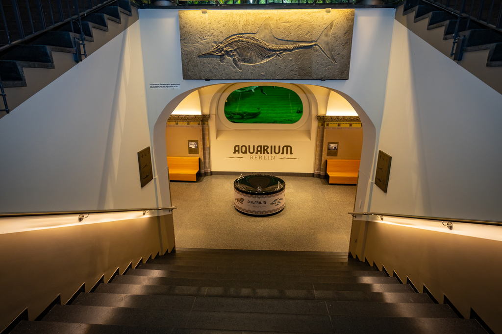 Eingangshalle_Treppenaufgang_AquariumBerlin.jpg
