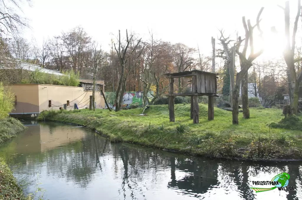 Orang-Utan im Zoo Dortmund - 2014