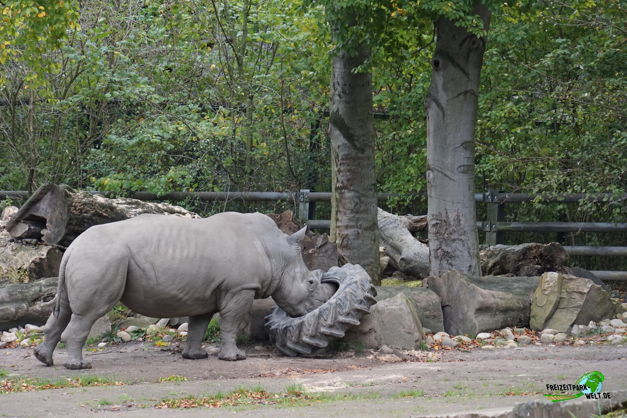 Foto Galerie 2017 - Zoo Dortmund | Freizeitpark-Welt.de