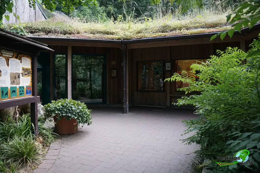 Nebelparder im Zoo Dortmund - 2022