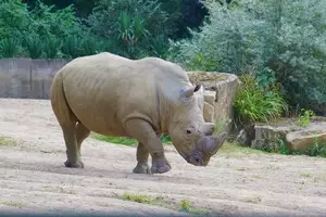 Teaserfoto Zoo Dortmund