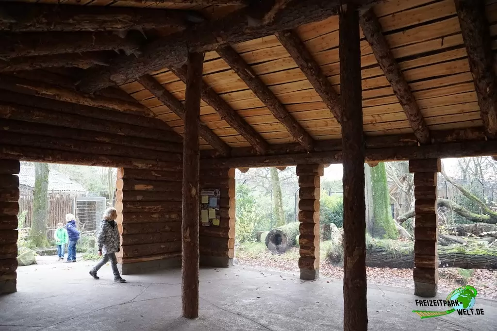 Luchs im Zoo Duisburg - 2015
