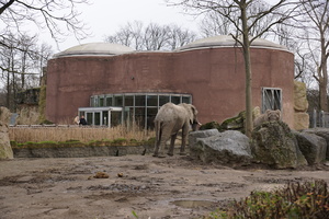 Mini-Galerie Zoo Duisburg Foto 1