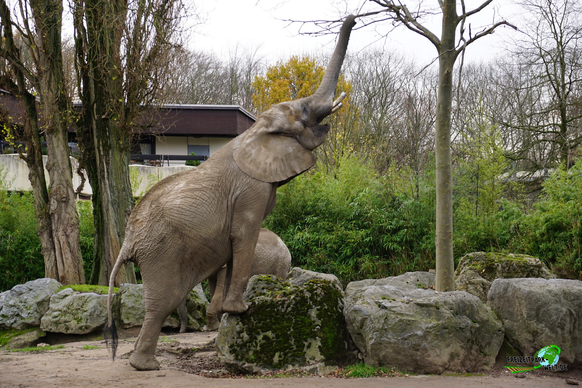 Duisburger Zoo