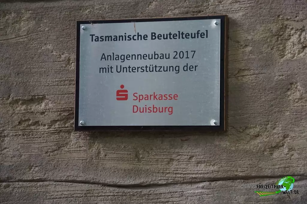 Beutelteufel im Zoo Duisburg - 2017