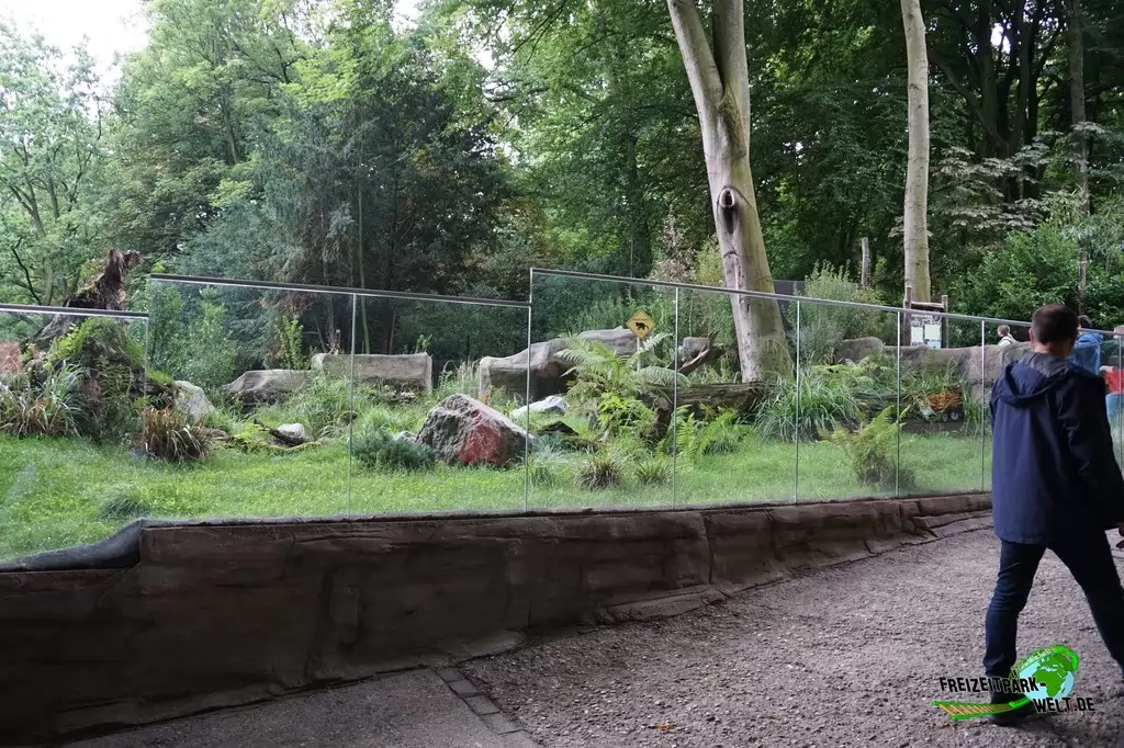 Beutelteufel im Zoo Duisburg - 2017