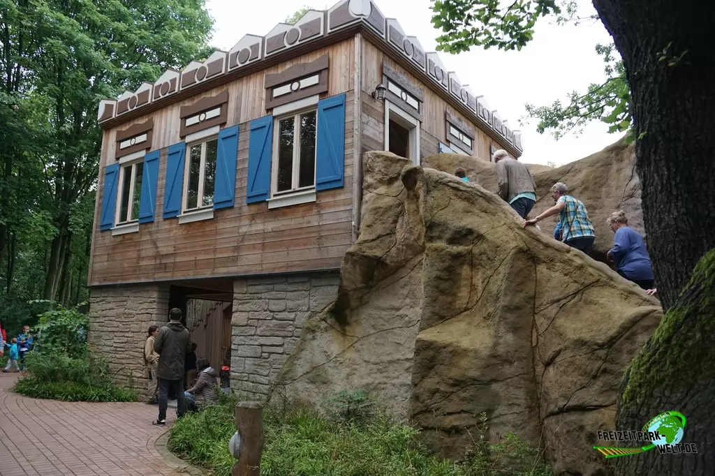 Sibirischer Tiger im Zoo Duisburg - 2017