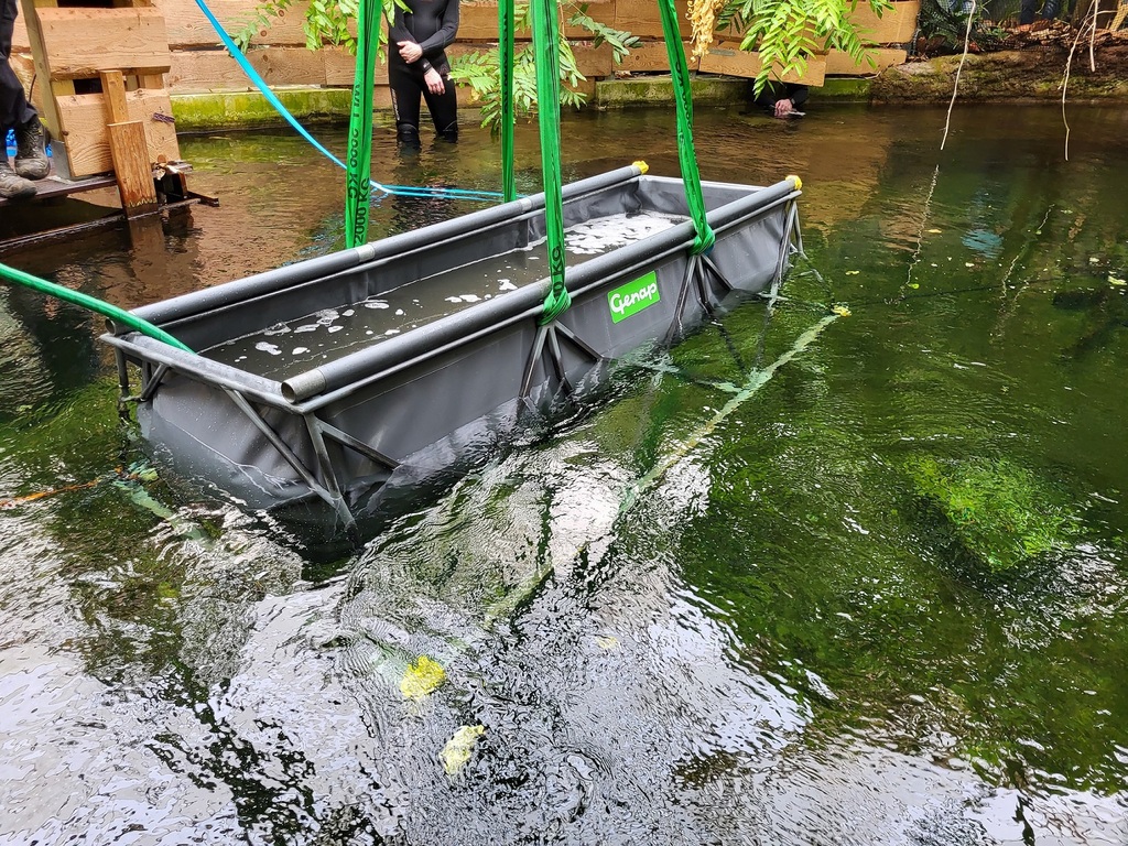 20 - 2024 Arapaima Ankunft_Bild 3.jpg