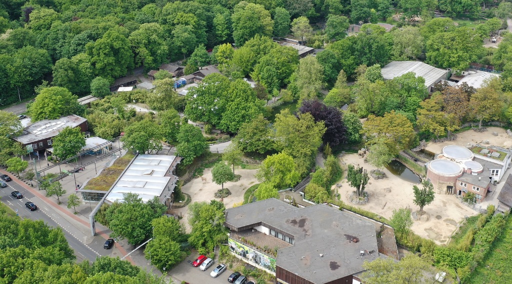 05 - 2025 Abbruch Zooterrassen.JPG