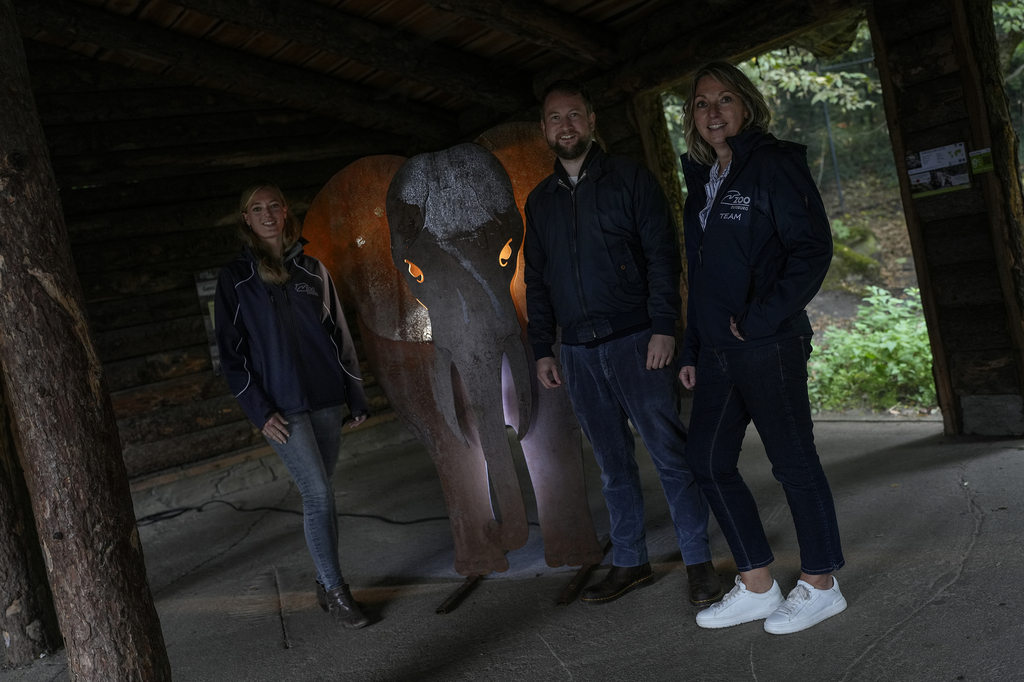 zoolichter1.jpg
