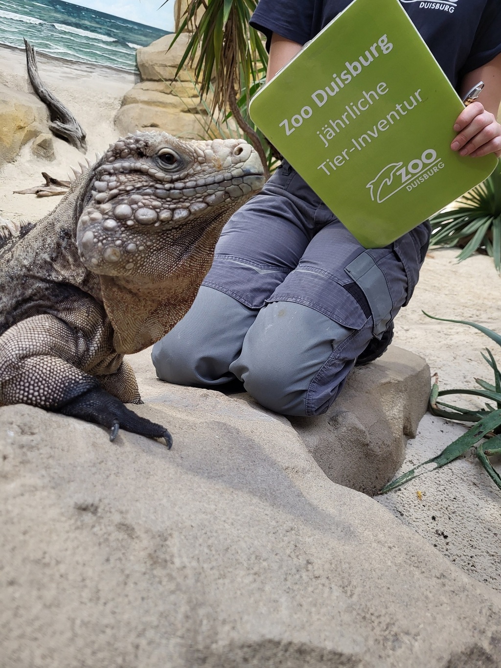 04 - 2026 Inventur im Zoo Duisburg_Bild 2.jpg