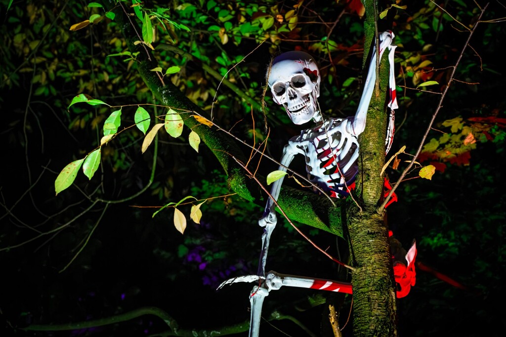 Halloween im Zoo Duisburg.jpg
