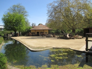 Teaserfoto Zoo Frankfurt