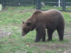 Mini-Galerie Zoo Hoyerswerda Foto 2