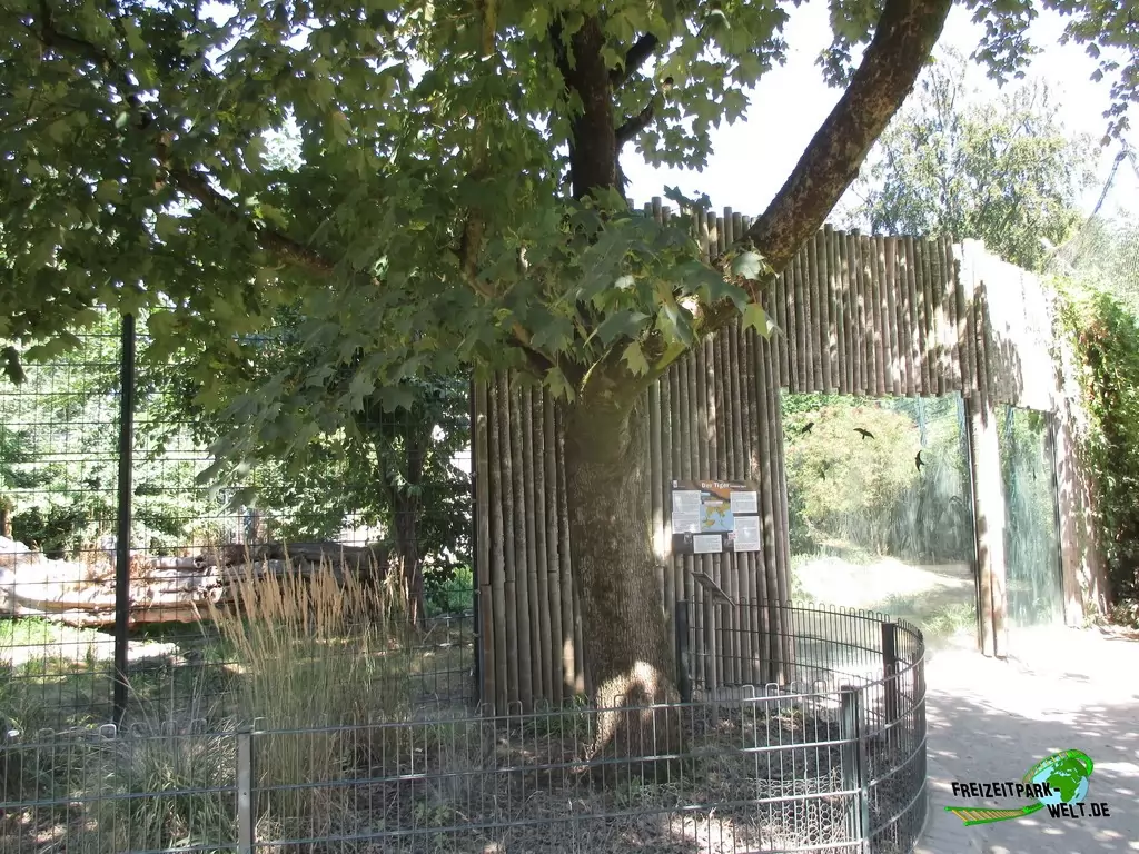 Sumatra Tiger im Zoo Krefeld - 2018: Tiger-Anlage