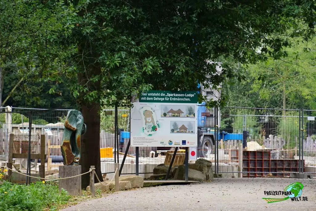 Erdmännchen im Zoo Krefeld - 2016