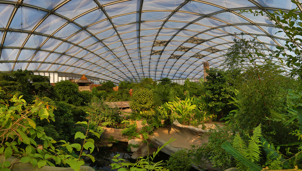 25_Den Regenwald mitten in Leipzig erleben - Tropenerlebniswelt Gondwanaland_©_Zoo Leipzig.jpg