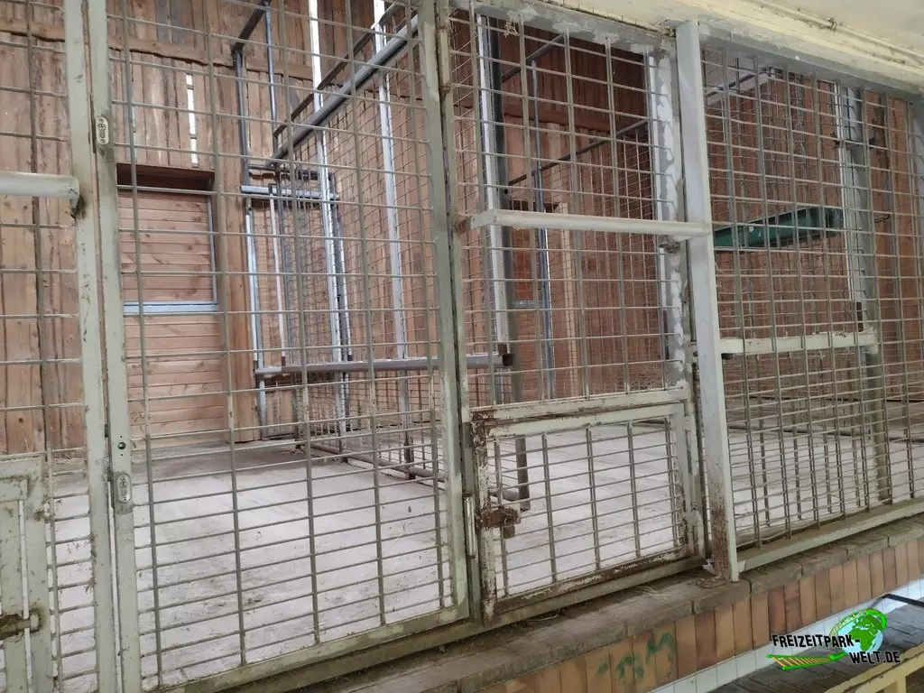 Giraffe im Zoo Neunkirchen - 2022: Das Giraffenhaus