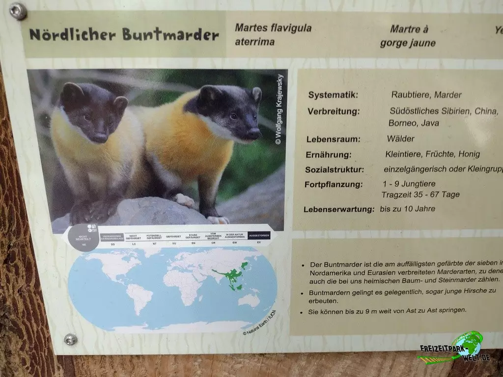Buntmarder im Zoo Neunkirchen - 2022: schöne übersichtliche farbenfrohe Schilder