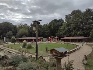 Teaserfoto Zoo Neunkirchen