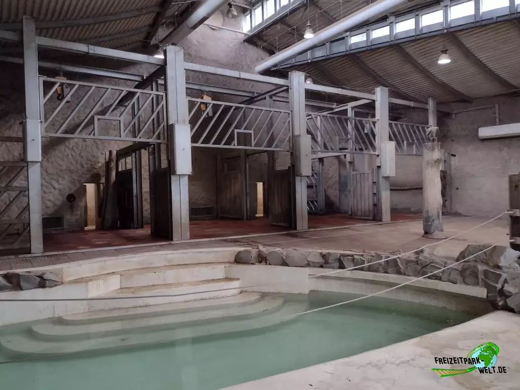 Asiatischer Elefant im Zoo Neunkirchen - 2022: Elefantenhaus