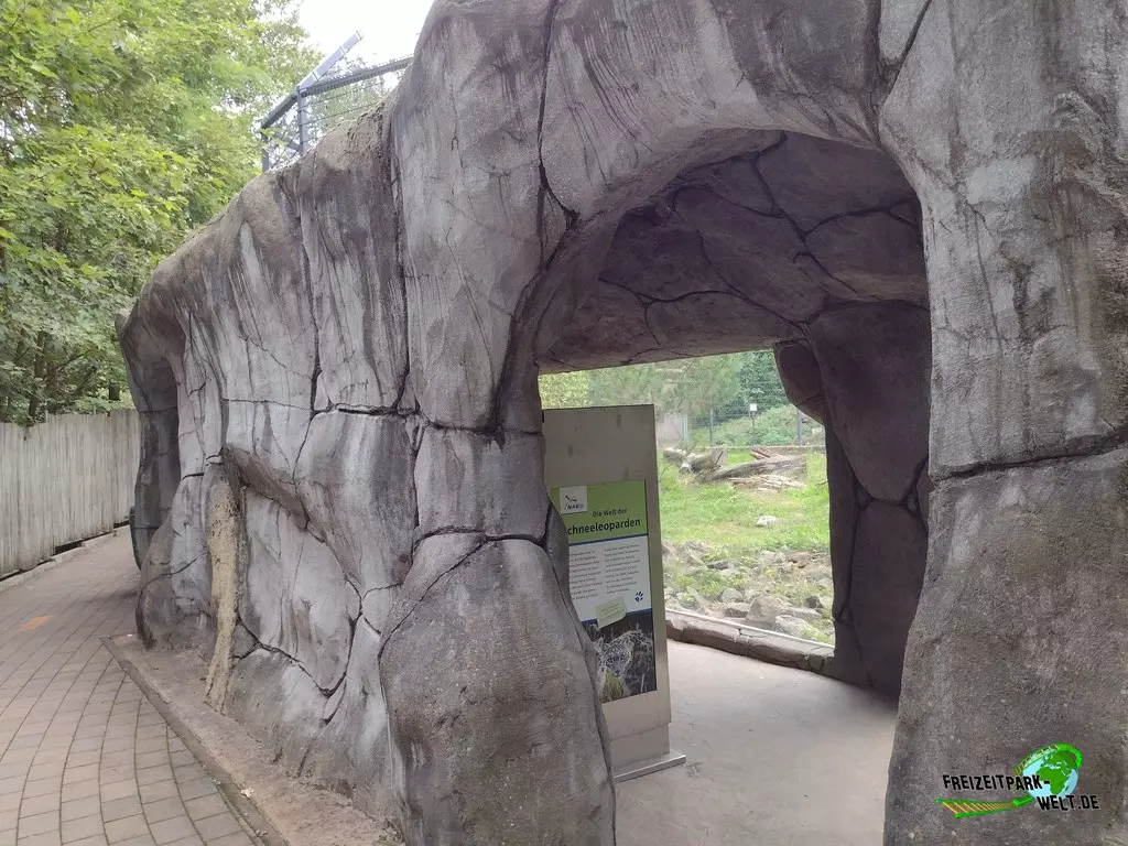 Schneeleopard im Zoo Neunkirchen - 2022