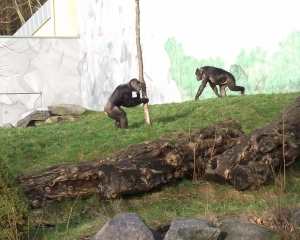 Teaserfoto Zoo Neuwied