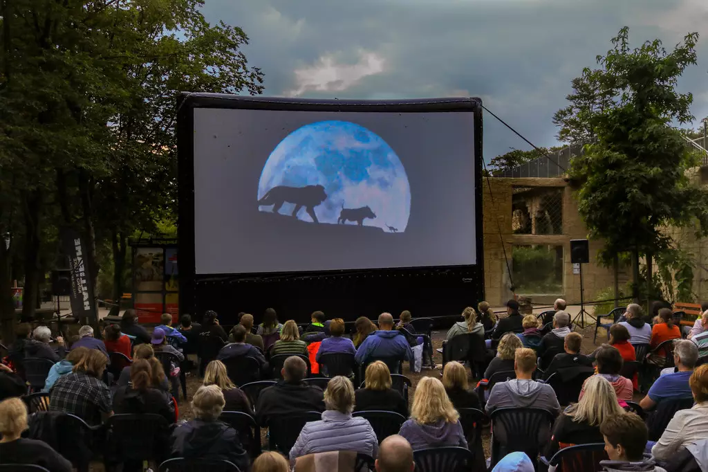 Grevyzebra im Zoo Osnabrück - 2022: Das Open-Air-Kino im Zoo Osnabrück findet wie in der Vergangenheit im Herzen des Zoos am Affentempel statt