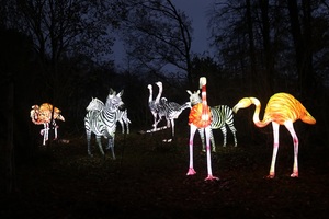 Mini-Galerie Zoo Osnabrück Foto 1