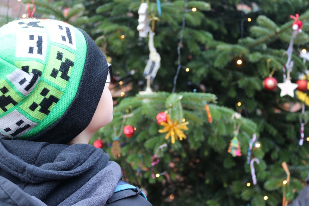 ZooOS_Weihnachtsbaum07112023.JPG