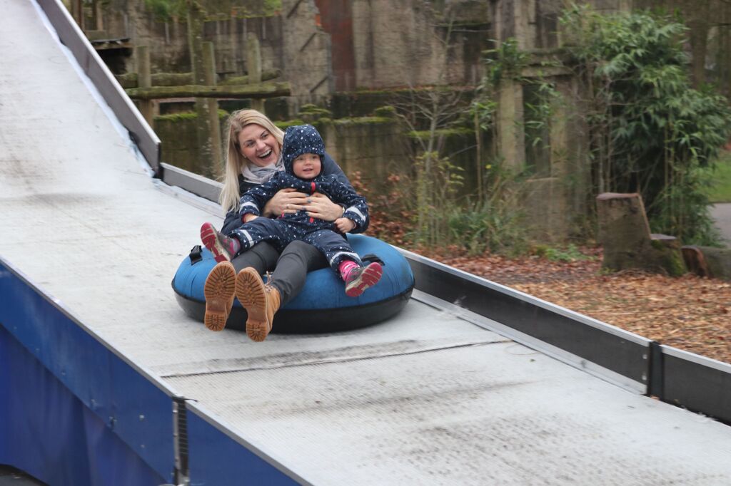 ZooOS_Rodelbahn Leuchtendes Winterland 05112024.jpg