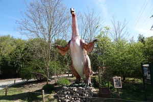 Mini-Galerie Zoo Osnabrück Foto 1