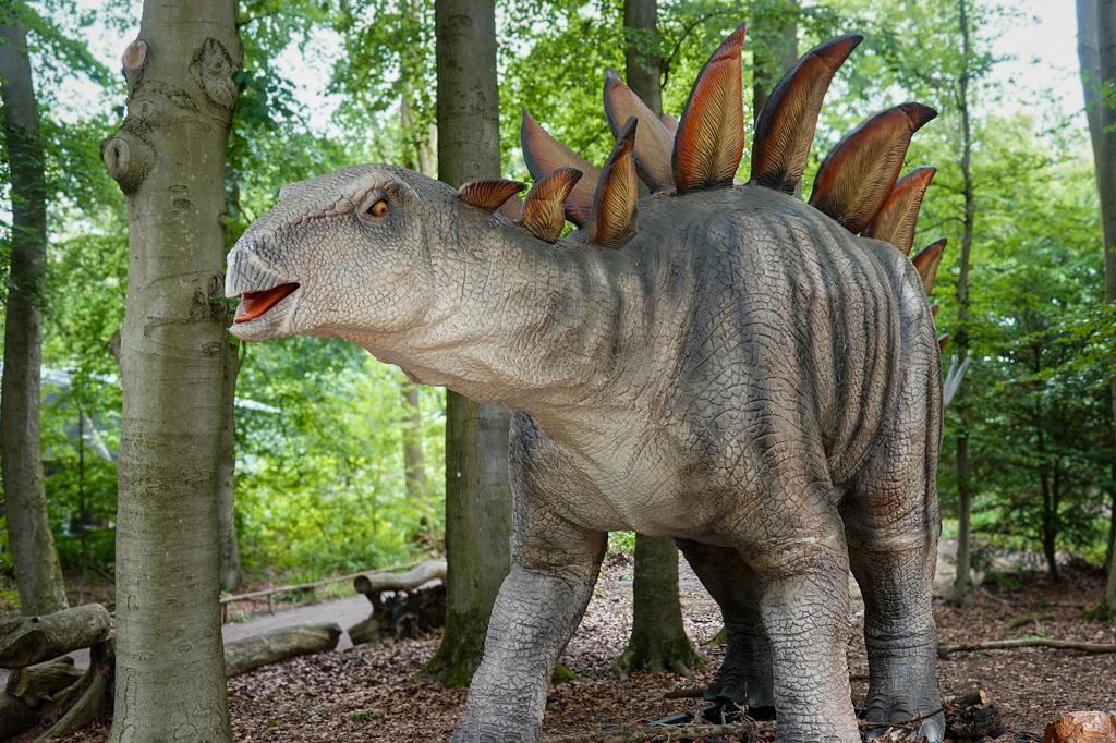 Zoo OS Stegosaurus.jpg