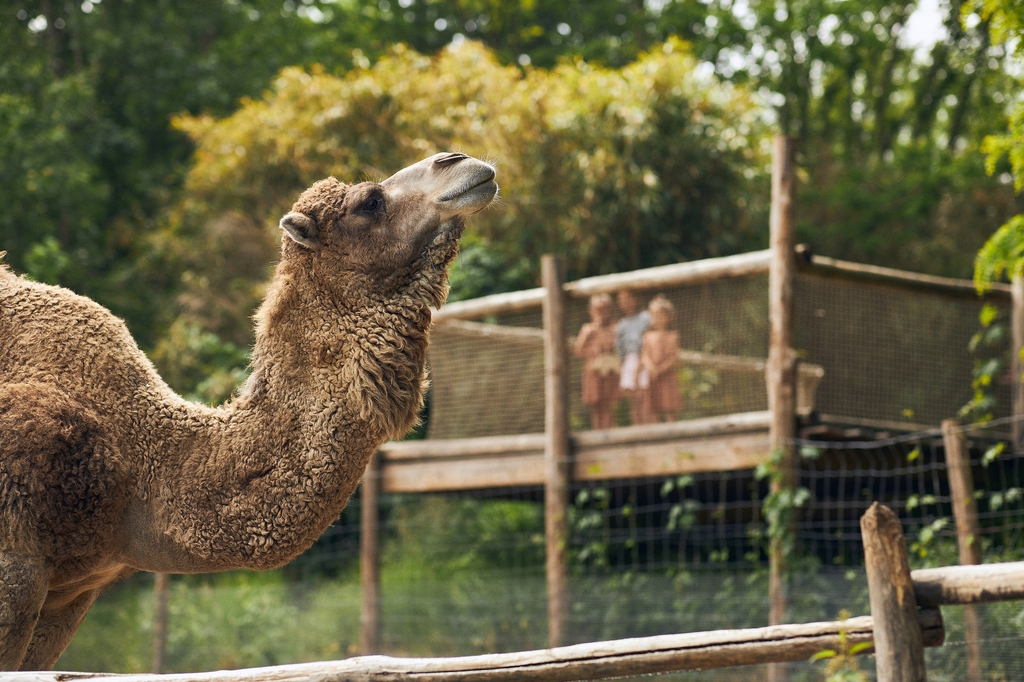 Foto 1_ZooParc Overloon.jpg
