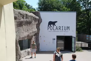 Zoo Rostock Galerie