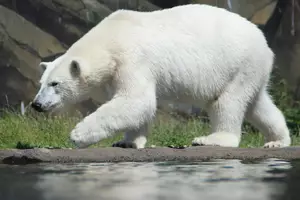 Teaserfoto Zoo Rostock